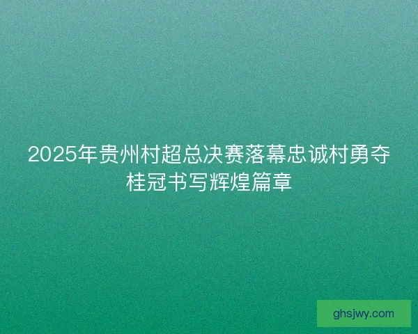 2025年贵州村超总决赛落幕忠诚村勇夺桂冠书写辉煌篇章