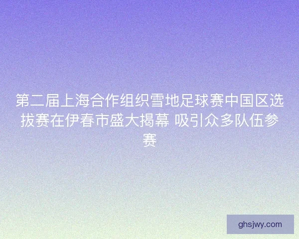 第二届上海合作组织雪地足球赛中国区选拔赛在伊春市盛大揭幕 吸引众多队伍参赛